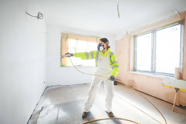 Best Black Mold Removal  in Lakeland, NY