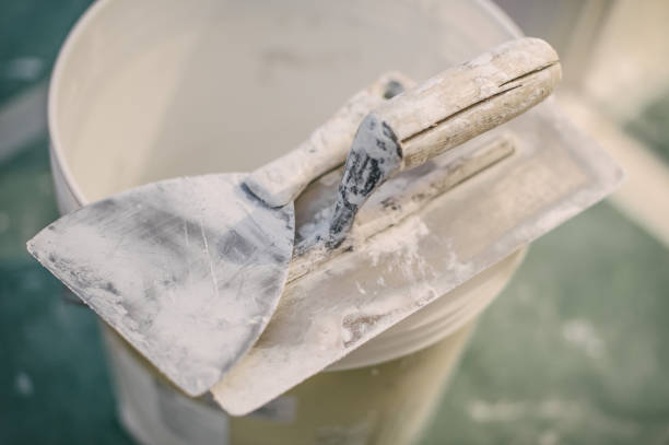 Best Forensic Mold Investigation  in Lakeland, NY
